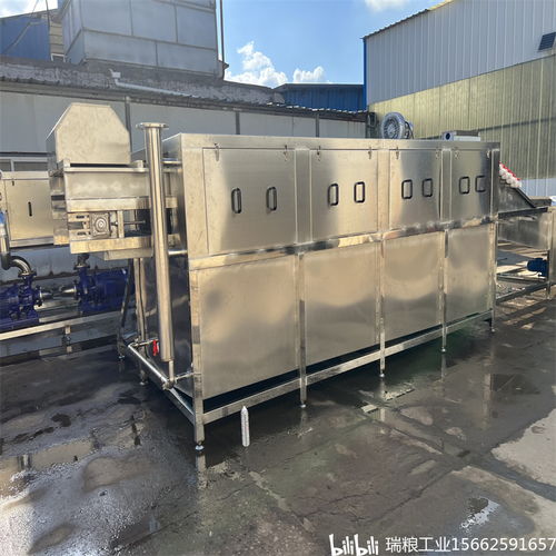 一站式解决大姜生产难题，选择瑞粮食品工业装备大姜清洗机商用设备