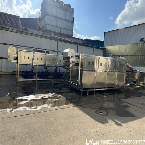 一站式解决大姜生产难题，选择瑞粮食品工业装备大姜清洗机